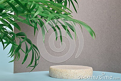 Minimalistic scene of a lying stone on a gray background with foliage. Stock Photo