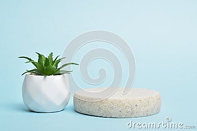 Minimalistic scene of a lying stone and a pot with succulent on a light blue background. Stock Photo