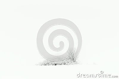 Minimalistic winter in black and white Stock Photo