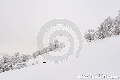 Minimalistic winter landscape in cloudy weather Stock Photo