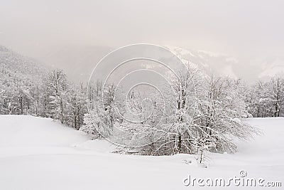 Minimalistic winter landscape in cloudy weather Stock Photo