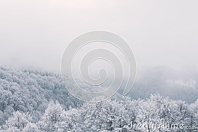 Minimalistic winter landscape in cloudy weather Stock Photo