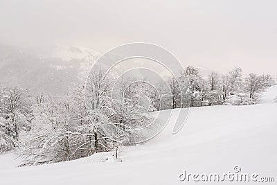 Minimalistic winter landscape in cloudy weather Stock Photo