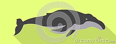 Minke whale icon, flat style Vector Illustration