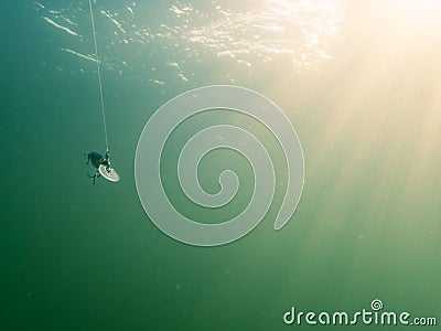 Minnow fishing lure swimming underwater Stock Photo