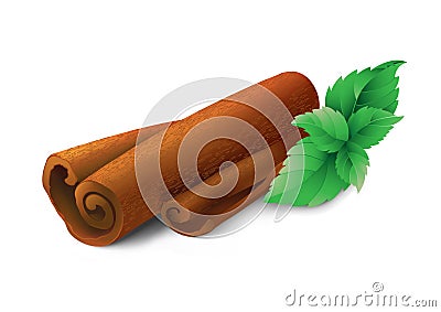 Mint and cinnamon Vector Illustration