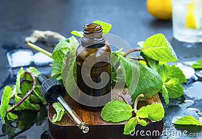 Mint essential oil in bottle .Fresh peppermint leaves with essen Stock Photo