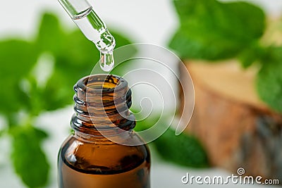 Mint essential oil drop falling from dropper into the bottle Stock Photo