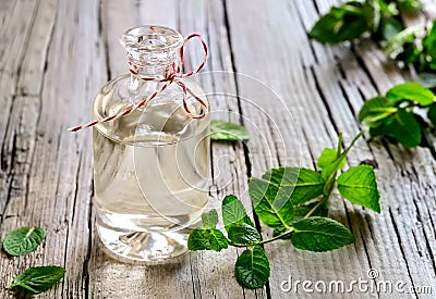 Mint essential oil Stock Photo