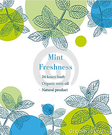 Mint freshness sketch template Vector Illustration