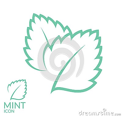 Mint. Isolated leaves on white background Vector Illustration