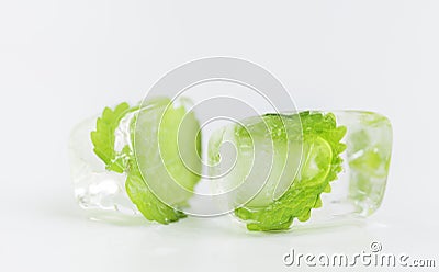 Mint leaf frozen in ice cube Stock Photo