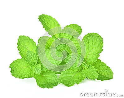 Mint leaf on white background Stock Photo