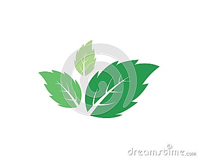 Mint leaves flat vector icon Vector Illustration