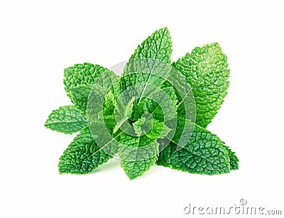 Mint leaves isolated on white Stock Photo