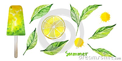 Mint leaves, lemon slice, yellow juice drops, yellow green popsicle. Isolated ingredients for healthy homemade lemon Cartoon Illustration