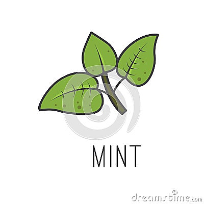 Mint line vector illustration, cooking isolated icon. Vector Illustration