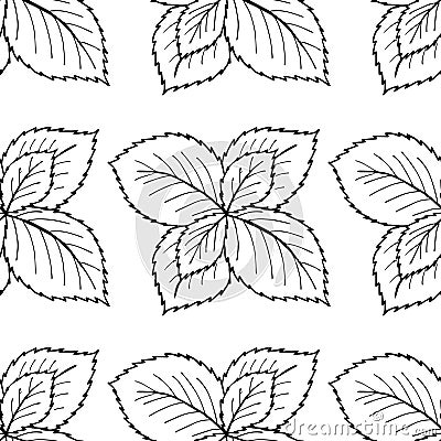 Mint liner, seamless 1 Vector Illustration