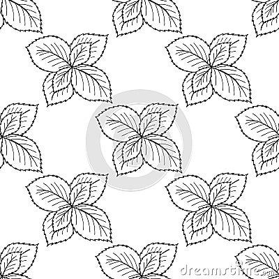 Mint liner, seamless 3 Vector Illustration