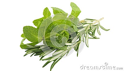 Mint and rosemary Stock Photo