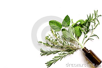 Mint, sage, rosemary, thyme - aromatherapy white background Stock Photo