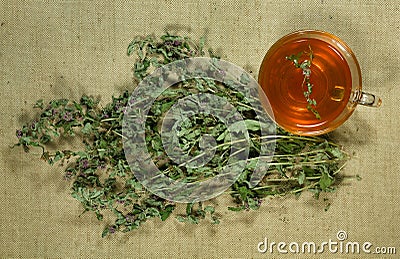 Mint, spearmint. Dry herbs. Herbal medicine, phytotherapy medici Stock Photo