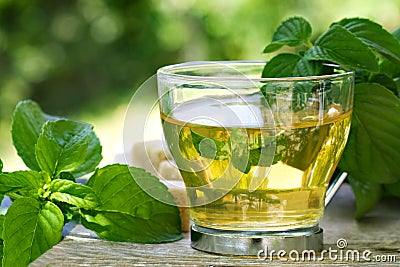 Mint tea Stock Photo