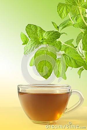 Mint tea Stock Photo