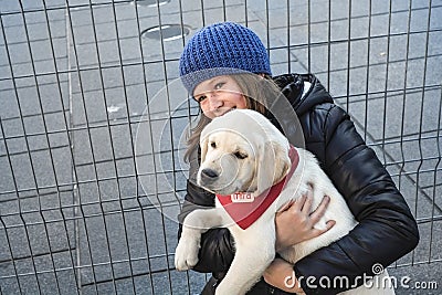 Mira puppies dogs Editorial Stock Photo