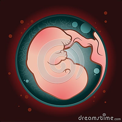 Miracle of Life Vector Illustration