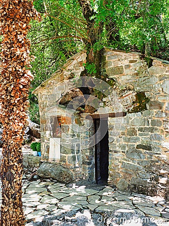 Trees Growing From Roof, Saint Theodora Church, Peloponnese, Greece Stock Photo