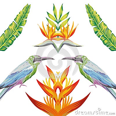 Mirror birds tropical flowers and leaves white background Vector Illustration