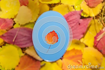 The mirror lies on autumn yellow and red leaves. The mirror reflects a cloudless blue sky and a red leaf. Stock Photo