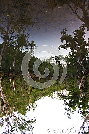 Mirror reflection lake in Byfield Stock Photo