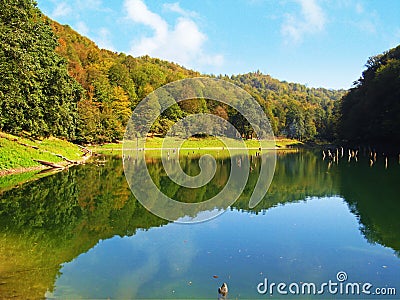 Mirrored autumnal forest in lake Stock Photo