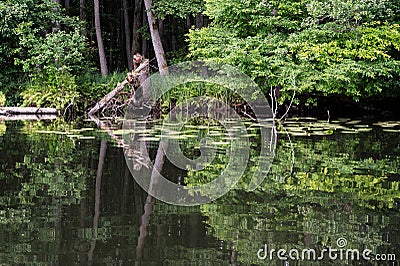 mirrored river landscape at the river Havel in Mecklenburg Western Pomeria Stock Photo