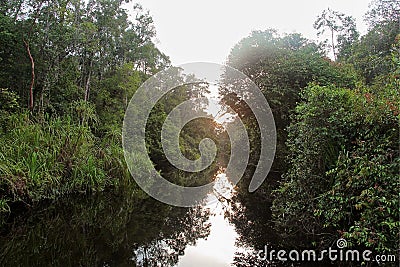 Mirroring river in the deep jungle of Borneo, Silhouettes of boats from the Stock Photo