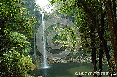 Misol Ha Waterfall, Mexico. Stock Photo