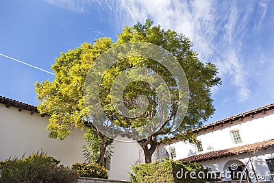 Mission San Luis Obispo de Tolosa Courtyard California Stock Photo