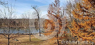 Missouri river life Stock Photo