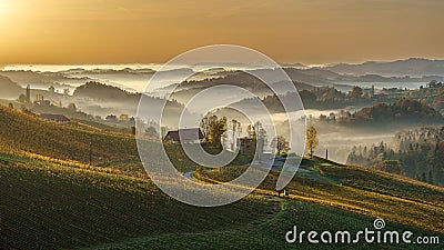 Mist covering scenic meadows of South Styrian Wine Road, Austria Stock Photo