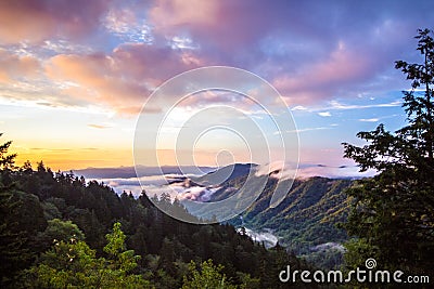 Newfound Gap Tennessee Smoky Mountain Sunrise Stock Photo