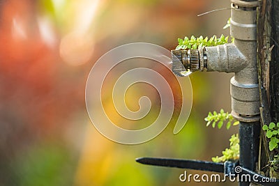 Mist nozzle water spraying system to make humidifier and cooling climate to reduce hot weather Stock Photo