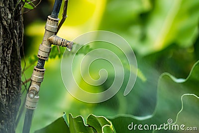 Mist nozzle water spraying system to make humidifier and cooling climate to reduce hot weather Stock Photo