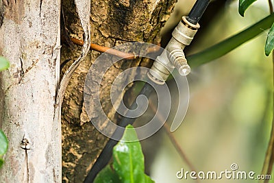 Mist nozzle water spraying system to make humidifier and cooling climate to reduce hot weather Stock Photo