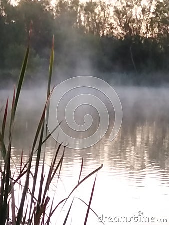 Mist over pond Stock Photo