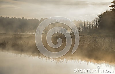 Mist rises from a marsh on an Ontario lake. Contrail in pale summer sky. Sunrise over narrow passage of a lake. Stock Photo