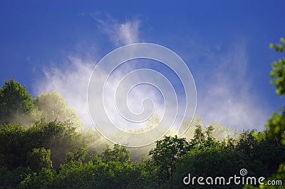 Mist rises over the forest after the rain during summer Stock Photo