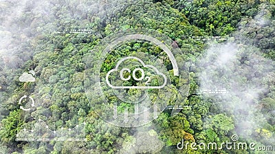 Tropical forests can increase the humidity in air and absorb carbon dioxide from the Stock Photo