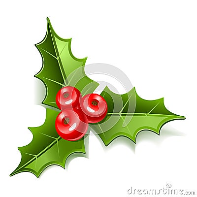 Mistletoe Vector Illustration